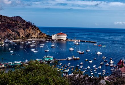 What to Do in Eight Hours on Catalina Island